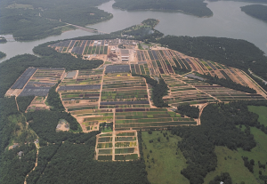 Greenleaf Nursery-OK